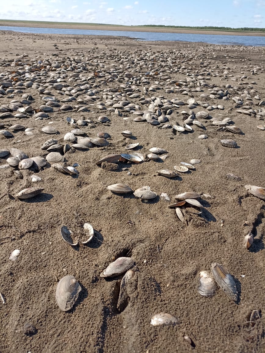 Каратомарское водохранилище на карте. Каратомарское водохранилище Казахстан. Казахстан Верхнетобольское водохранилище. Каратомарское водохранилище Рудный. Водохранилище Сокулук.