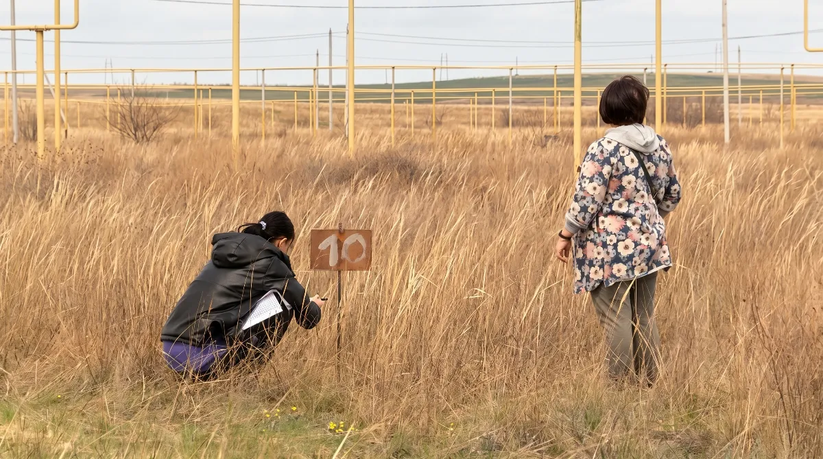 19 микр. Лисаковска  обрёл первых арендаторов земельных участков 