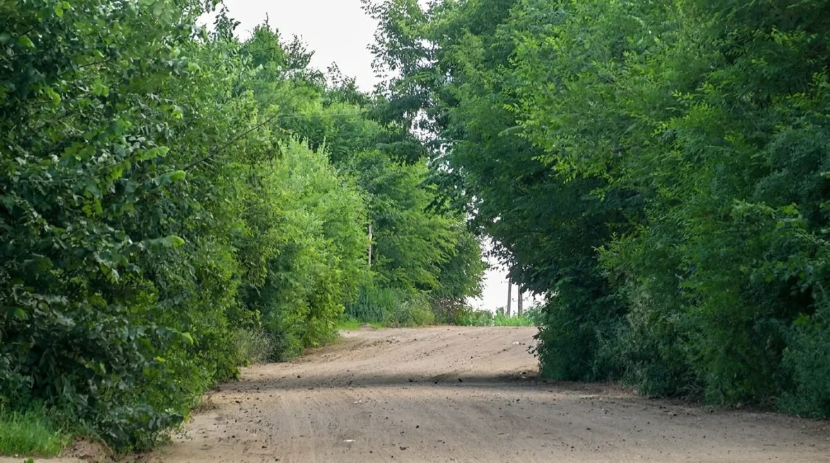 Эх, дороги…