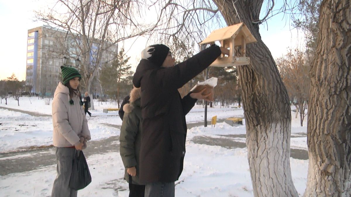 Сто тысяч на скворечники