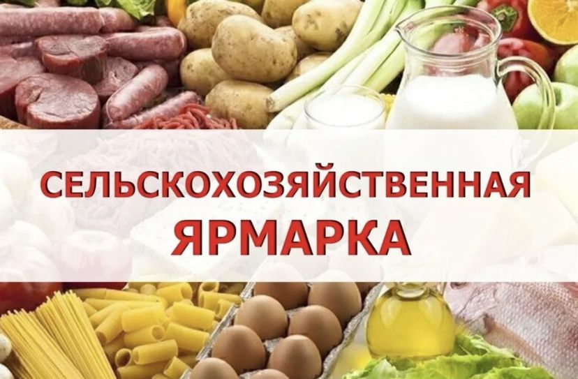 Все на ярмарку!