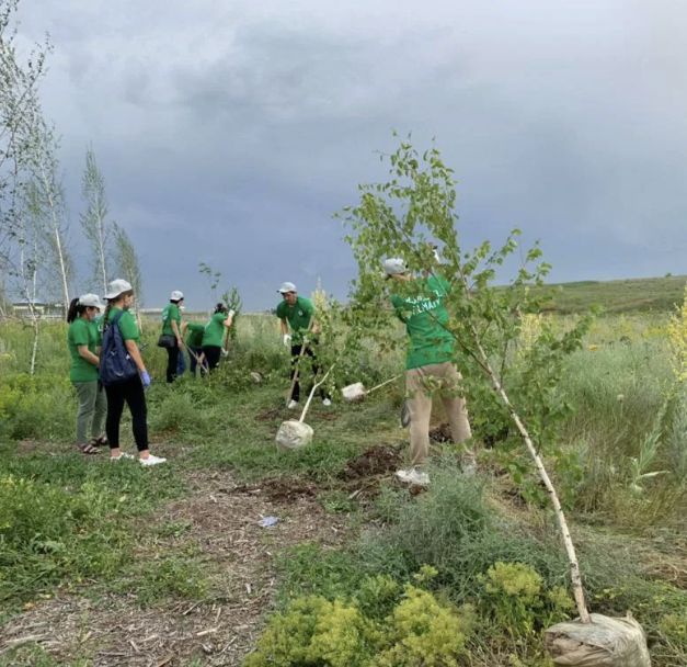 Стартует новый трудовой сезон общенационального проекта "Жасыл ел"