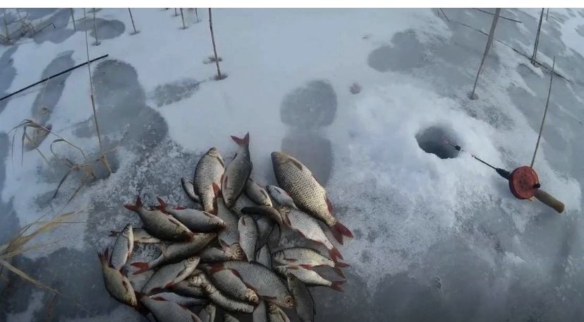 «Золотая Рыбка» отмечает свой 15-летний юбилей