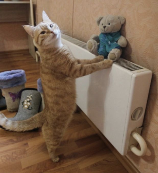 Подготовка к отопительному сезону