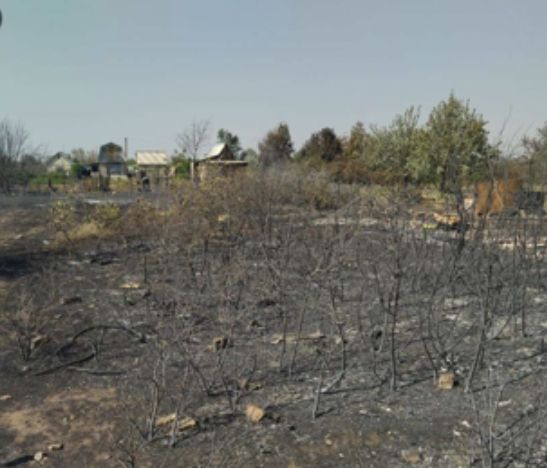 Пожар на «Урожайном-1». Будет оказана помощь