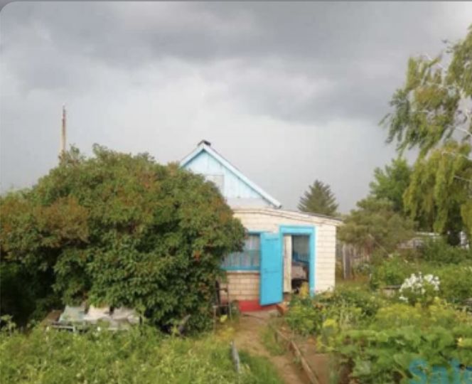 «Урожайное-1». Всем ли довольны садоводы