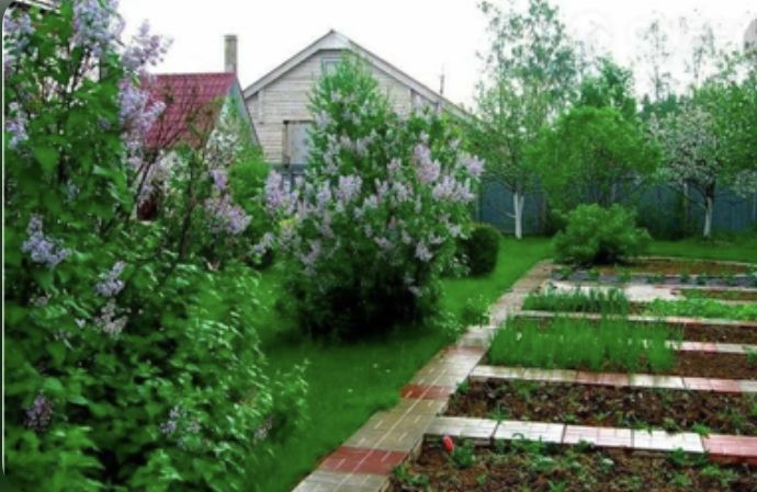 Нелёгкие будни охраны на дачах