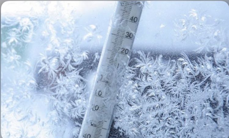 Смерть в центре города